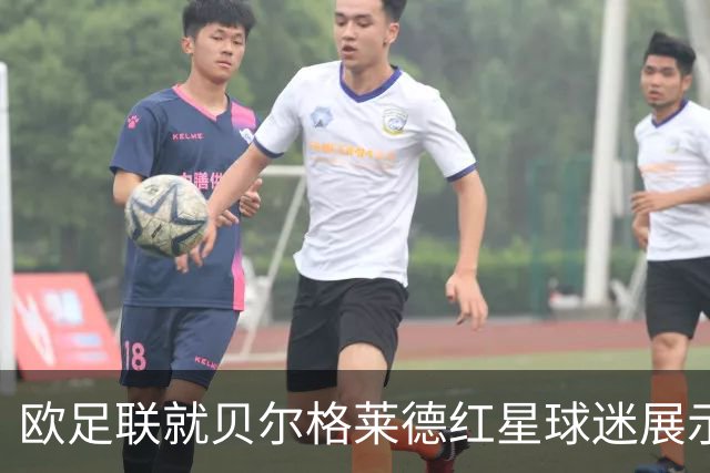 欧足联就贝尔格莱德红星球迷展示姆拉迪奇横幅启动纪律程序